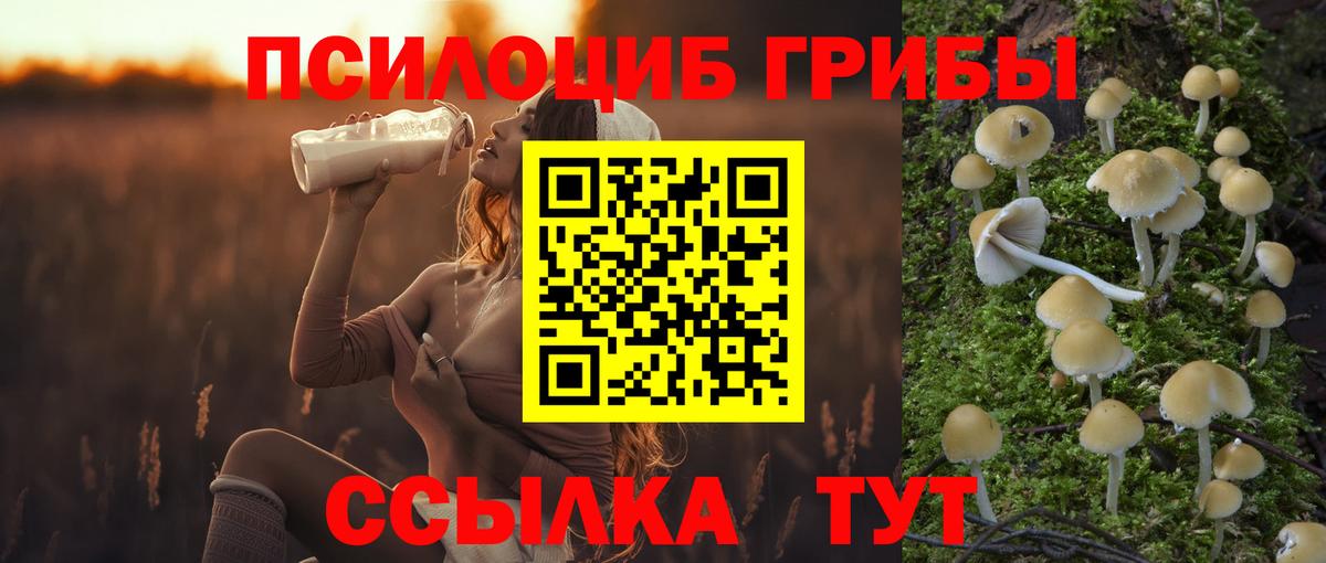 Уварово  Псилоцибиновые грибы Psilocybe  Вход с VPN 